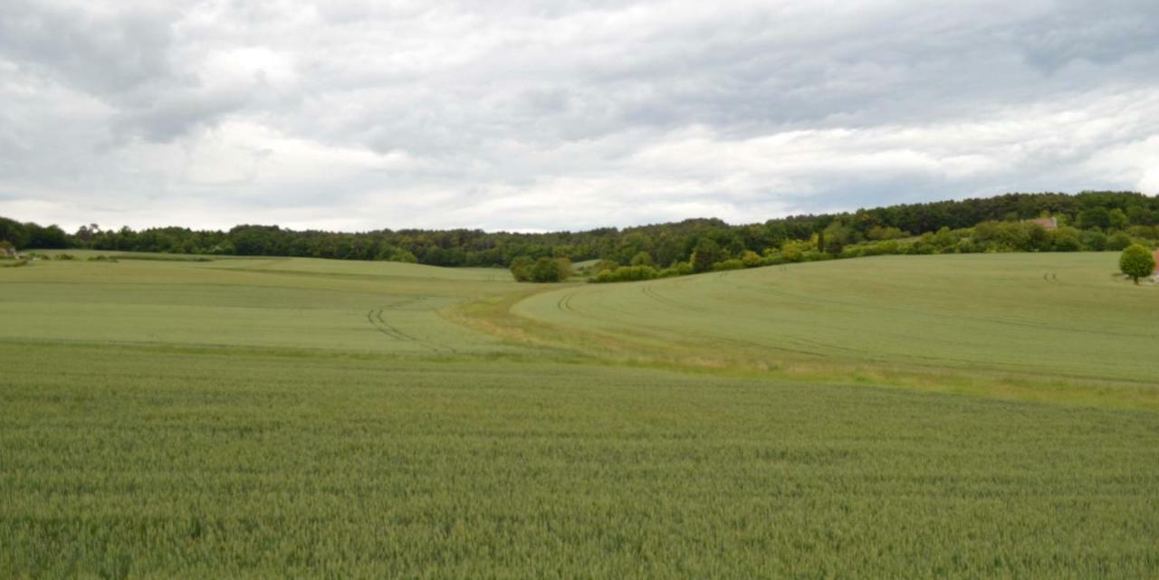 L'Abbesse Villa Scorbe-Clairvaux Luaran gambar
